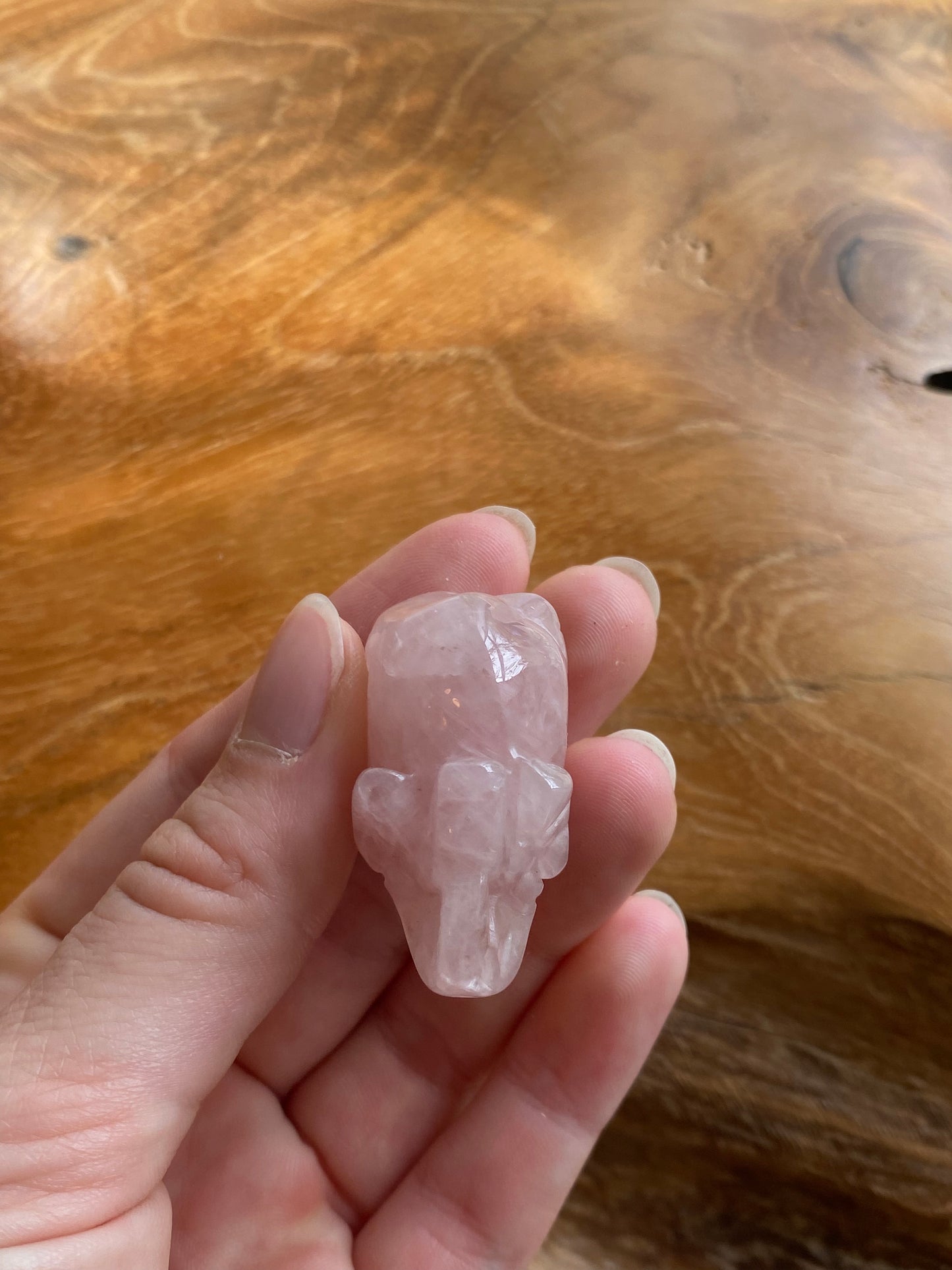 Forme éléphant quartz rose